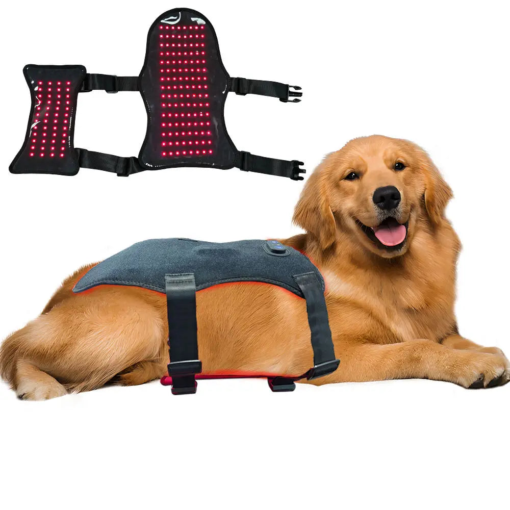 Pet Wellness Red Light Therapy Belt