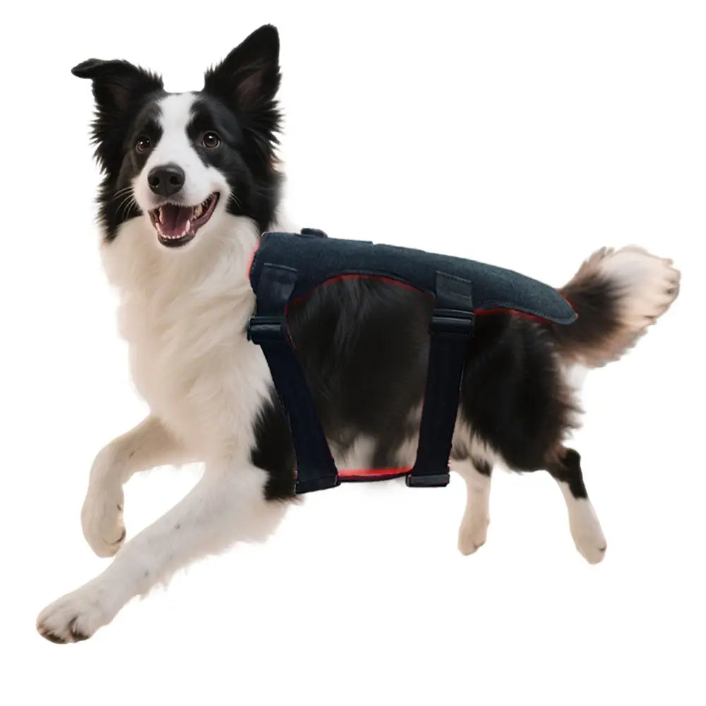 Pet Wellness Red Light Therapy Belt