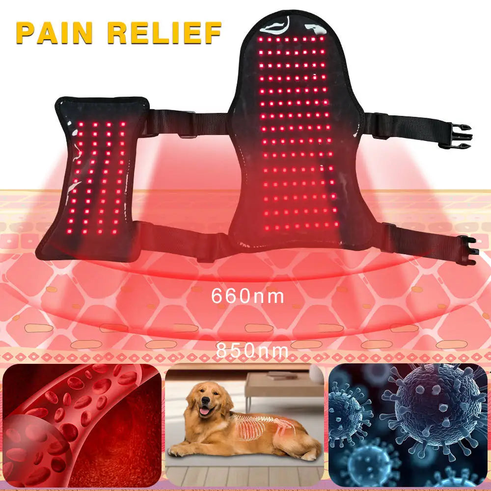 Pet Wellness Red Light Therapy Belt